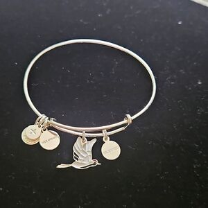 Alex and Ani Silver Charm Bracelet NWOT